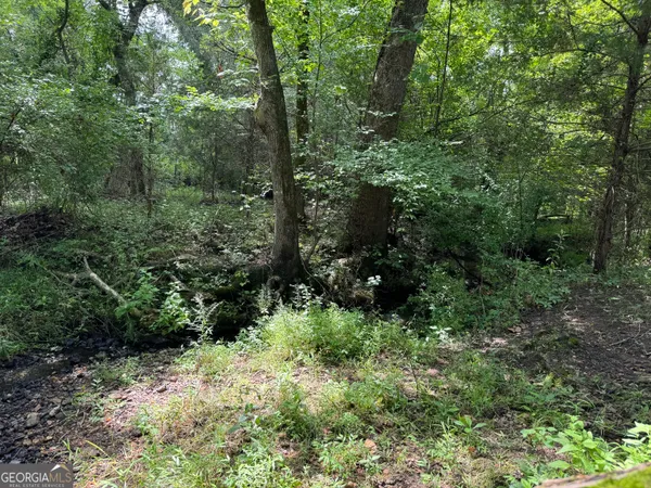 a view of a yard