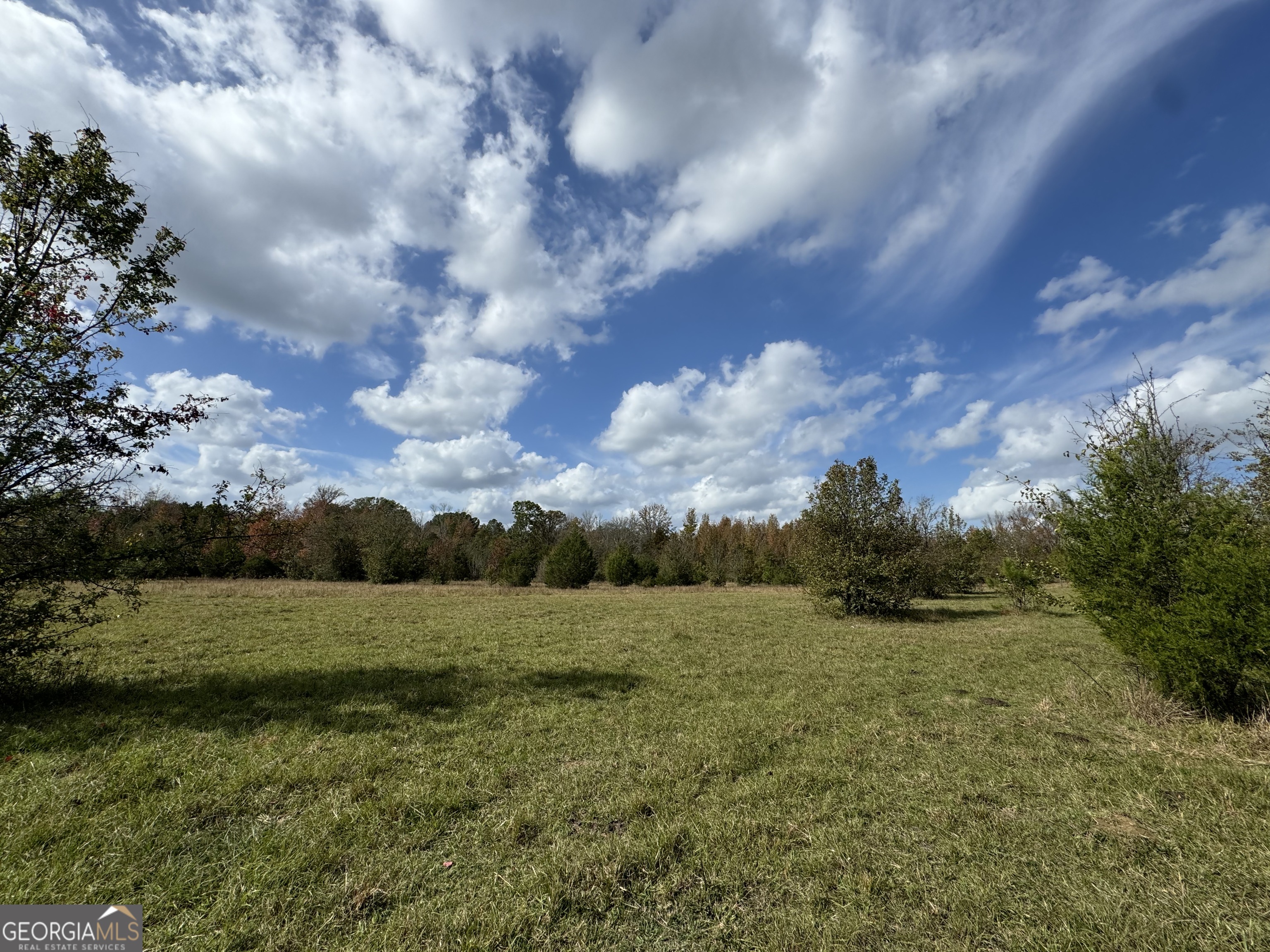 2 Seneca Street Calhoun Falls, SC 29628 - Photo 16 of 29 a view of field with trees in background