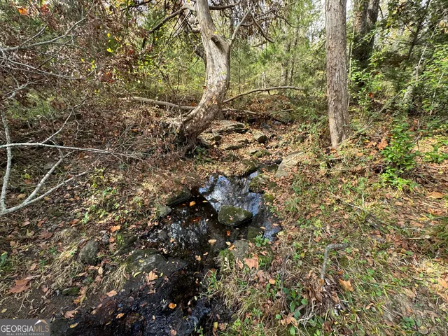 $934,200 | 2 Seneca Street, Calhoun Falls, SC 29628