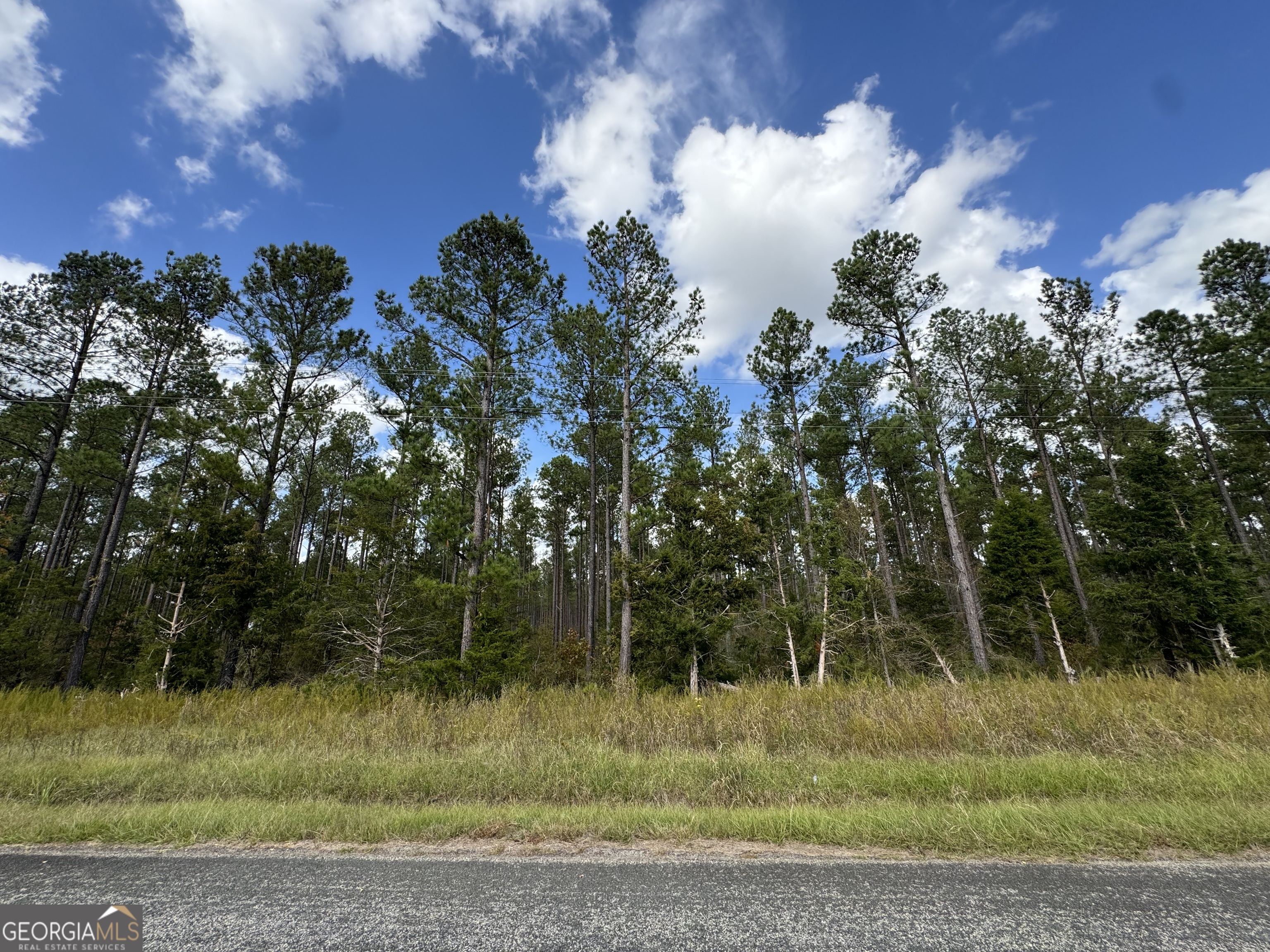 2 Seneca Street Calhoun Falls, SC 29628 - Photo 21 of 29 a view of a yard