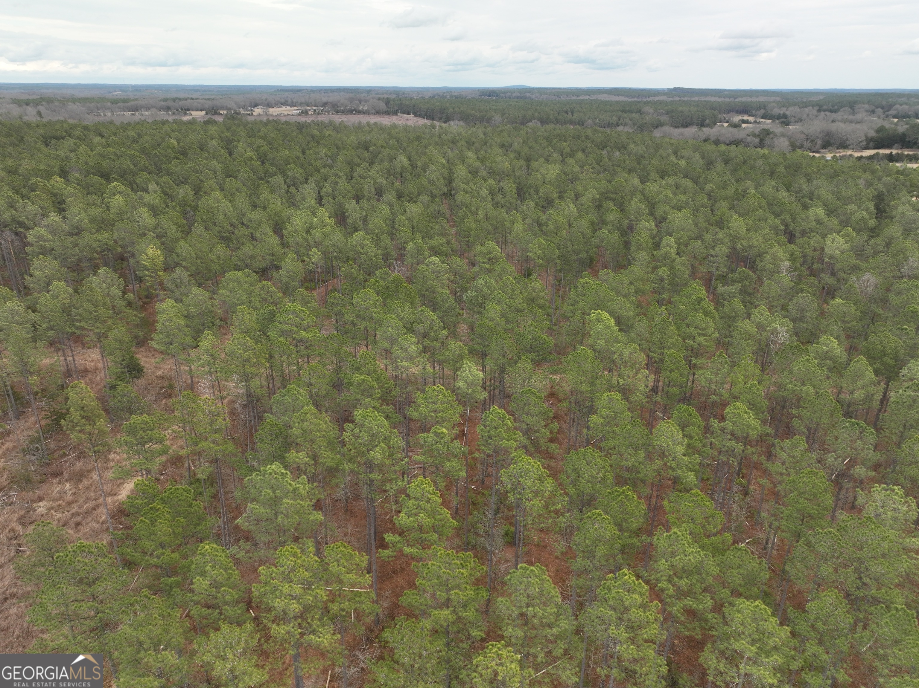 2 Seneca Street Calhoun Falls, SC 29628 - Photo 24 of 29 a view of a field with an outdoor space