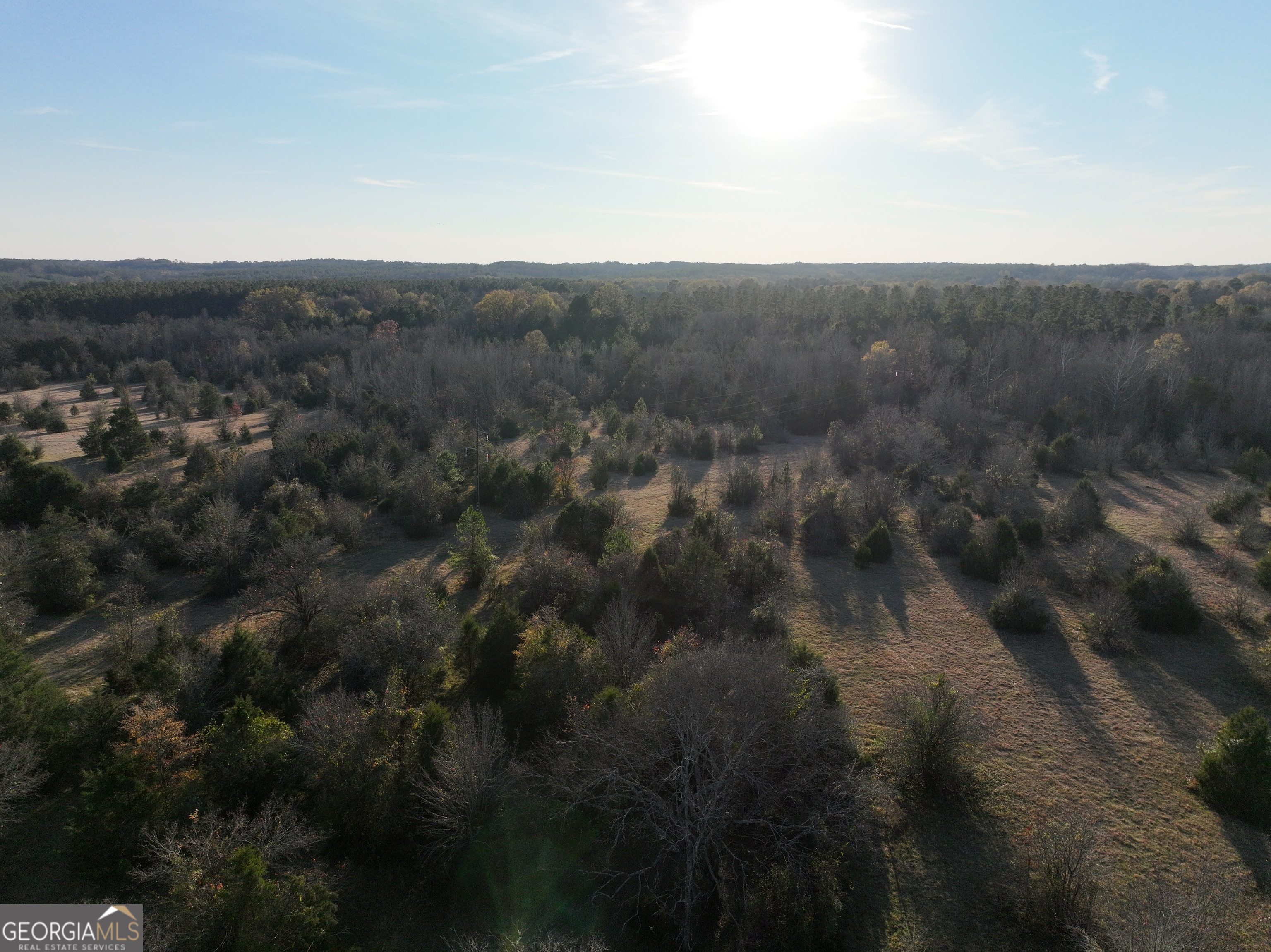 2 Seneca Street Calhoun Falls, SC 29628 - Photo 6 of 29 a view of a forest