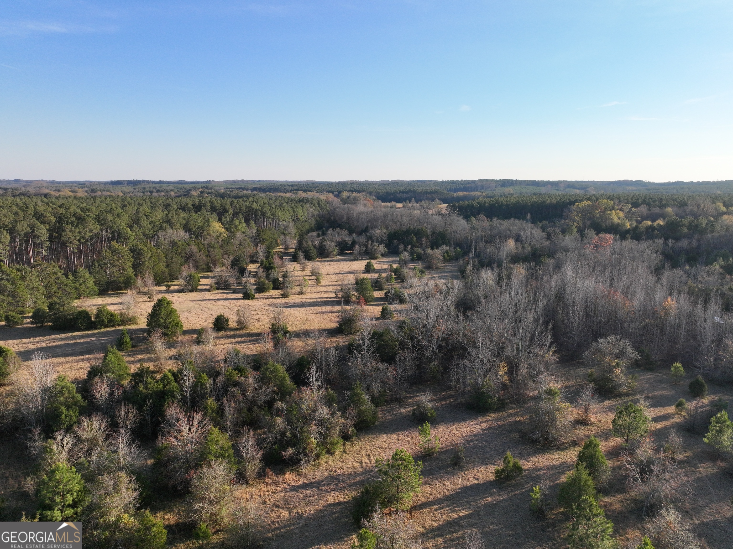 2 Seneca Street Calhoun Falls, SC 29628 - Photo 7 of 29 a view of a town with mountains in the background