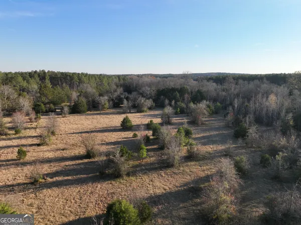 a view of a backyard with trees
