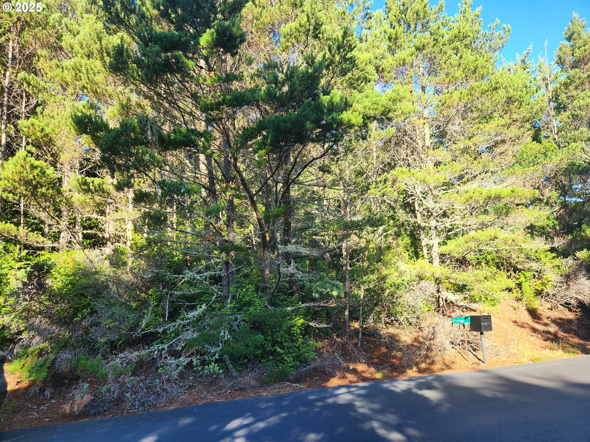 0 Wind Leaf Way, Unit TL4100 Florence, OR 97439 - Photo 1 of 8 a view of a yard with a tree