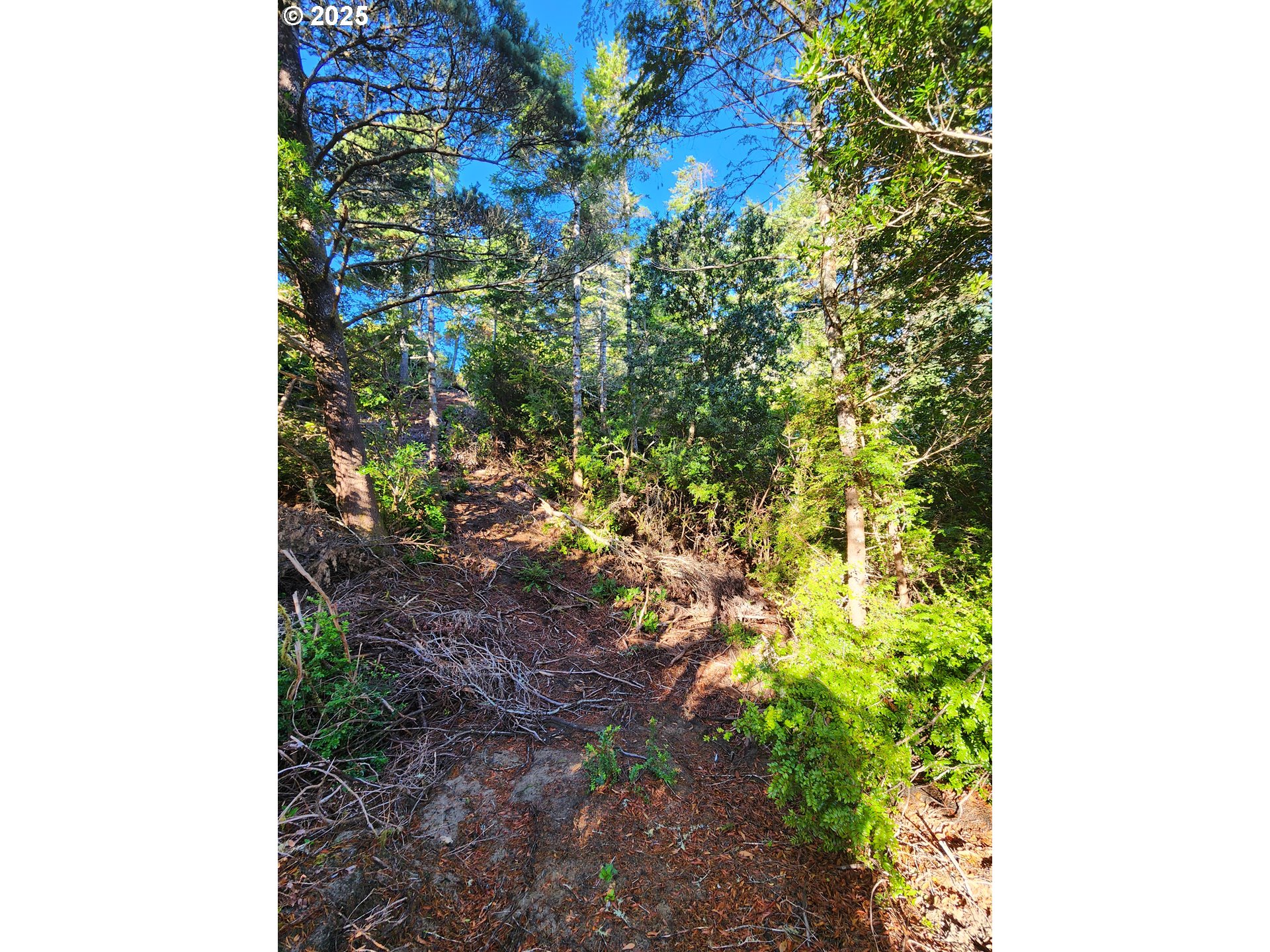 0 Wind Leaf Way, Unit TL4100 Florence, OR 97439 - Photo 5 of 8