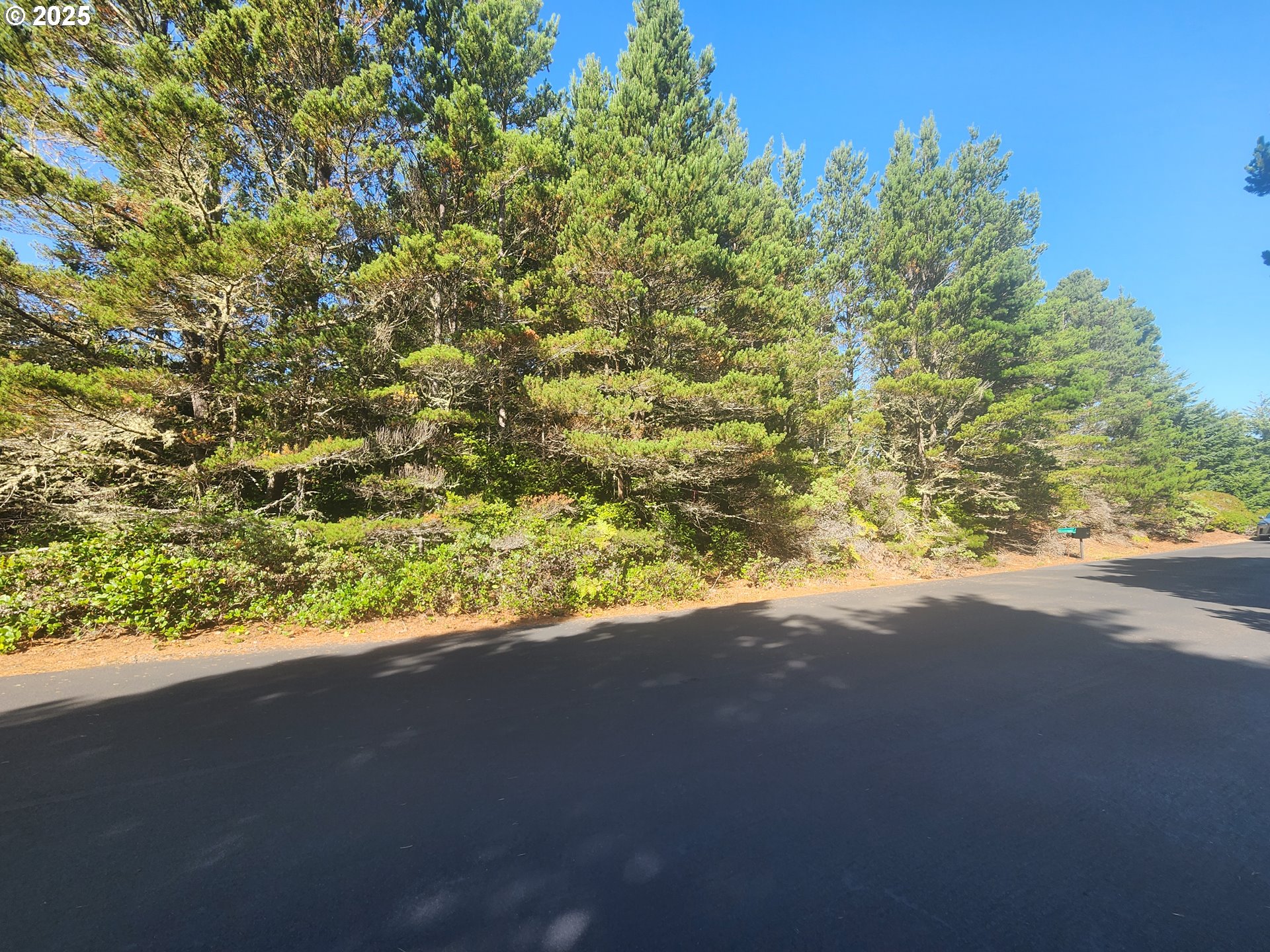 0 Wind Leaf Way, Unit TL4100 Florence, OR 97439 - Photo 8 of 8 a view of a yard with a tree