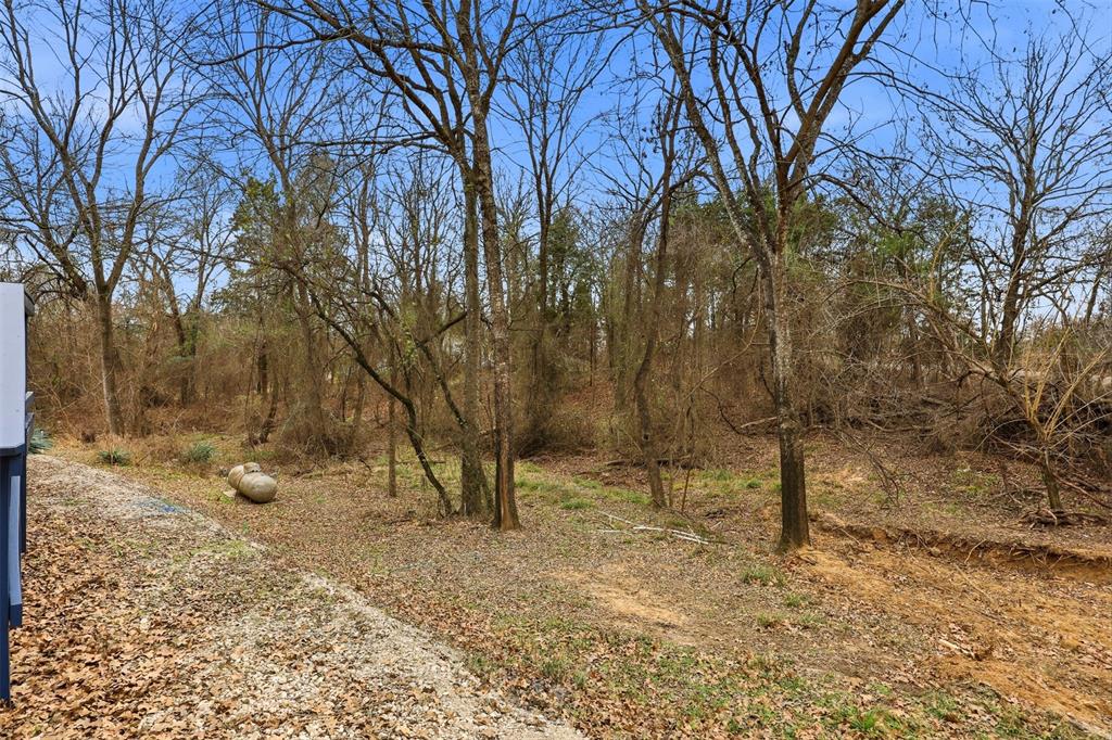 2114 Hickory Street Mabank, TX 75156 - Photo 22 of 31 Spacious lot with many mature trees