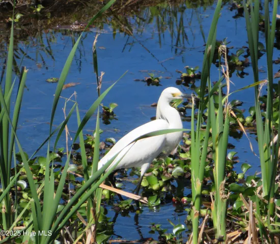 $459,000 | 4986 North Hampton Drive Southeast, Southport, NC 28461