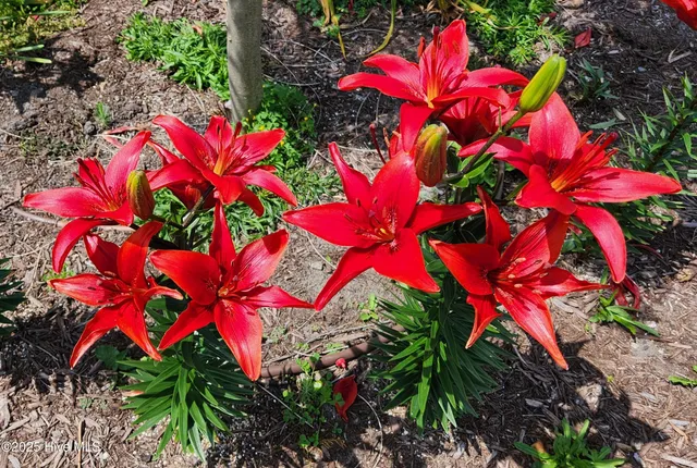 $459,000 | 4986 North Hampton Drive Southeast, Southport, NC 28461