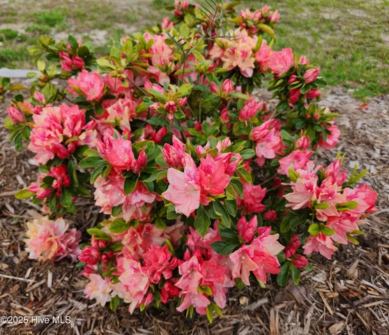 $459,000 | 4986 North Hampton Drive Southeast, Southport, NC 28461