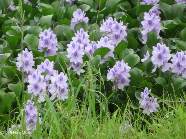 $459,000 | 4986 North Hampton Drive Southeast, Southport, NC 28461