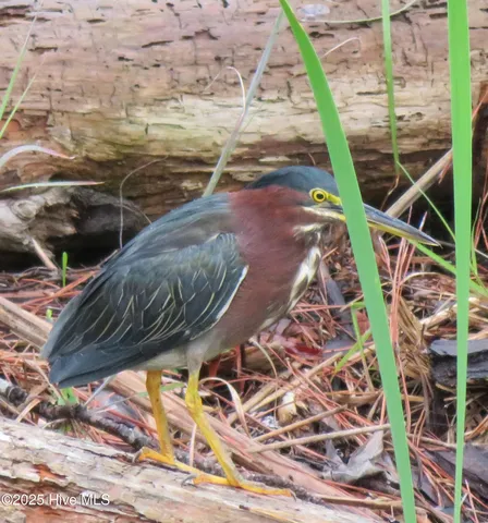 $459,000 | 4986 North Hampton Drive Southeast, Southport, NC 28461