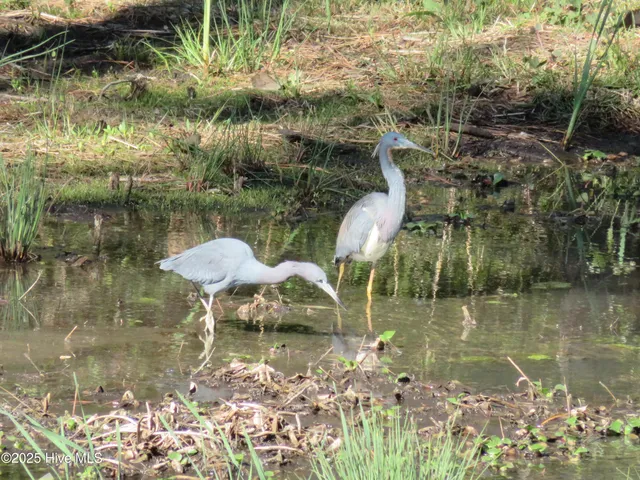 $459,000 | 4986 North Hampton Drive Southeast, Southport, NC 28461