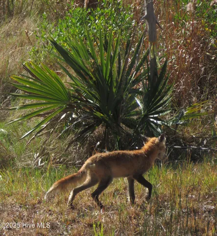 $459,000 | 4986 North Hampton Drive Southeast, Southport, NC 28461