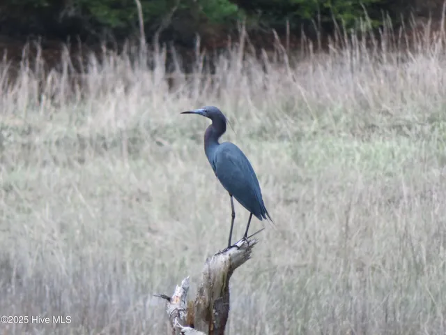 $459,000 | 4986 North Hampton Drive Southeast, Southport, NC 28461
