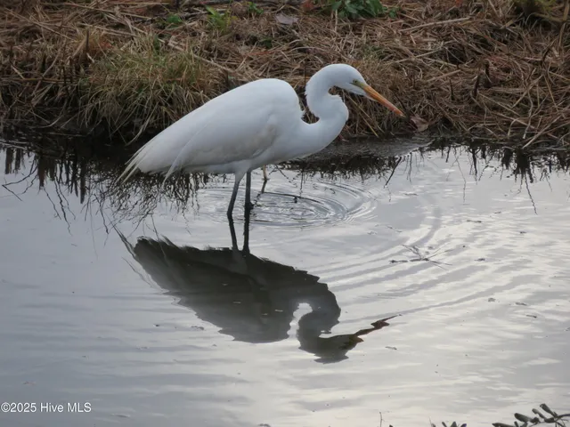$459,000 | 4986 North Hampton Drive Southeast, Southport, NC 28461