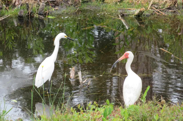 $459,000 | 4986 North Hampton Drive Southeast, Southport, NC 28461