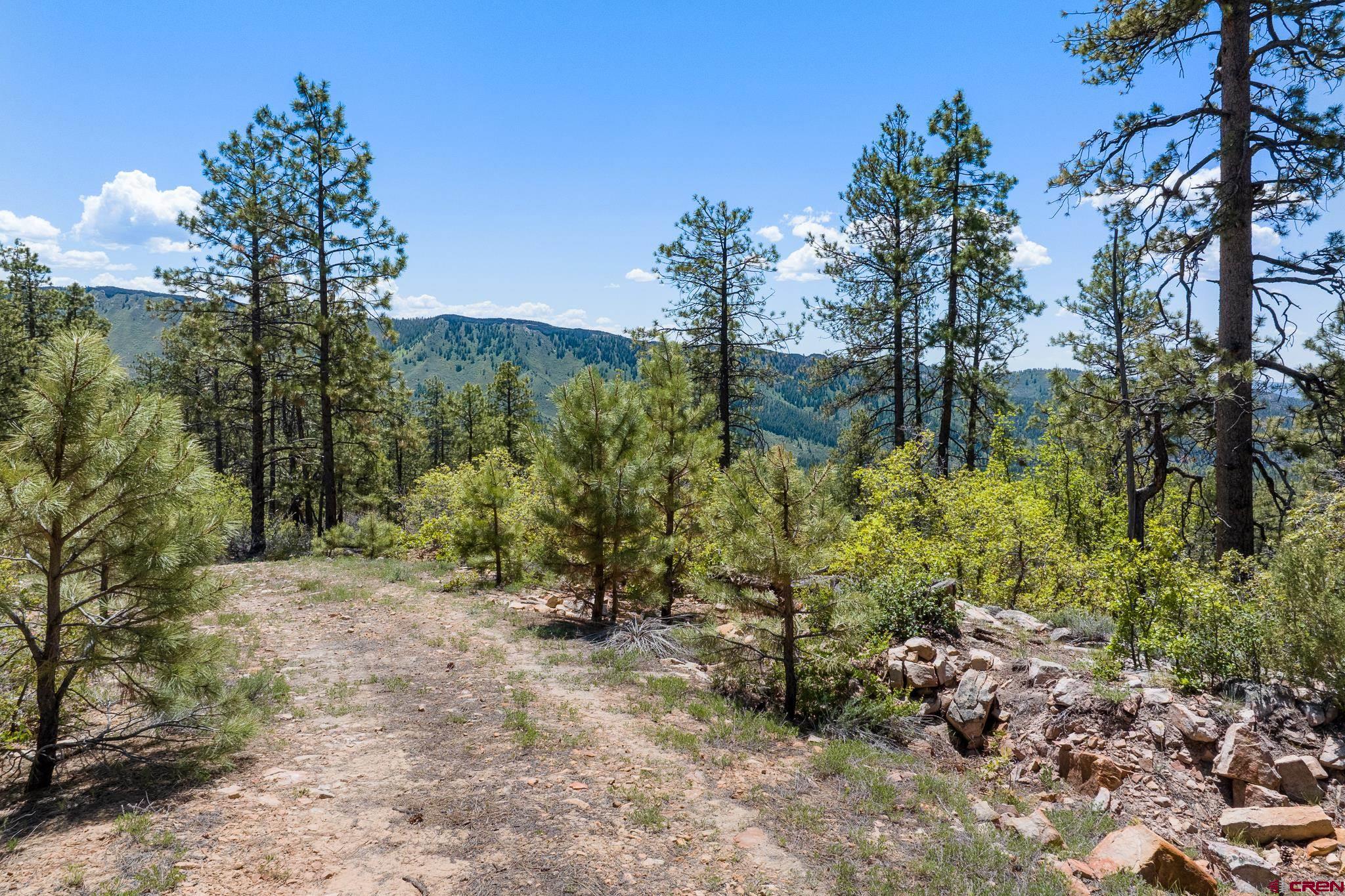 2511 Taylor Ranch Road Durango, CO 81301 - Photo 2 of 23 Gallery Image 2