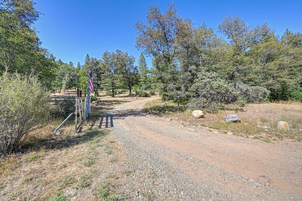 17008 Bloomfield Ridge Place Nevada City, CA 95959 - Photo 46 of 52