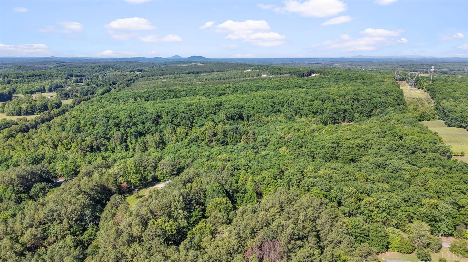 675 Pacoman Road Evington, VA 24550 - Photo 52 of 57