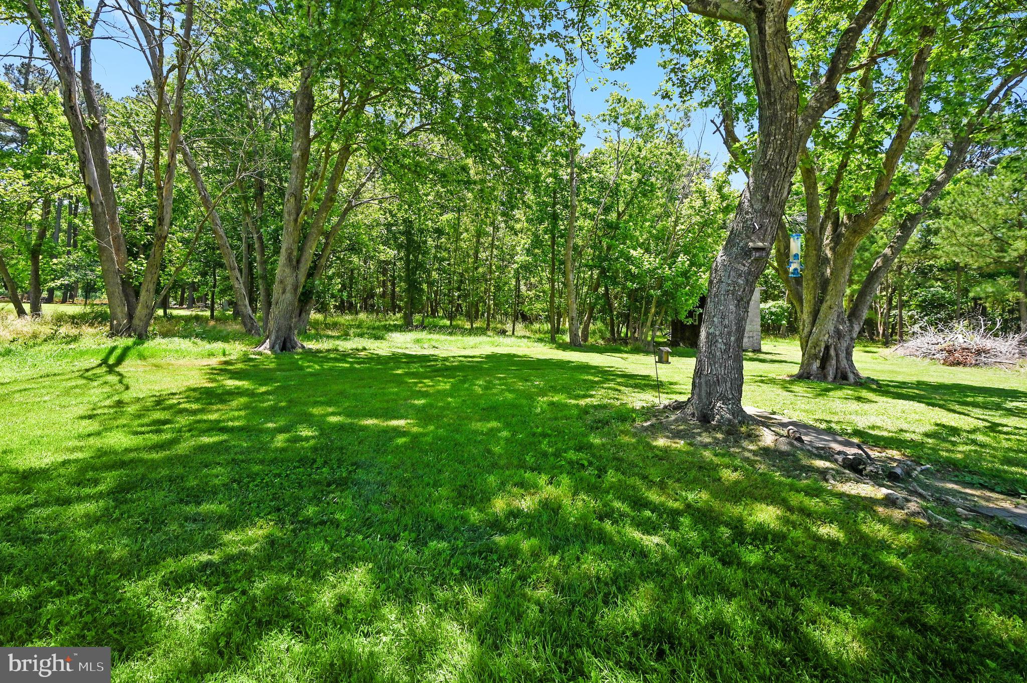 27421 Mt Vernon Road Princess Anne, MD 21853 - Photo 17 of 18