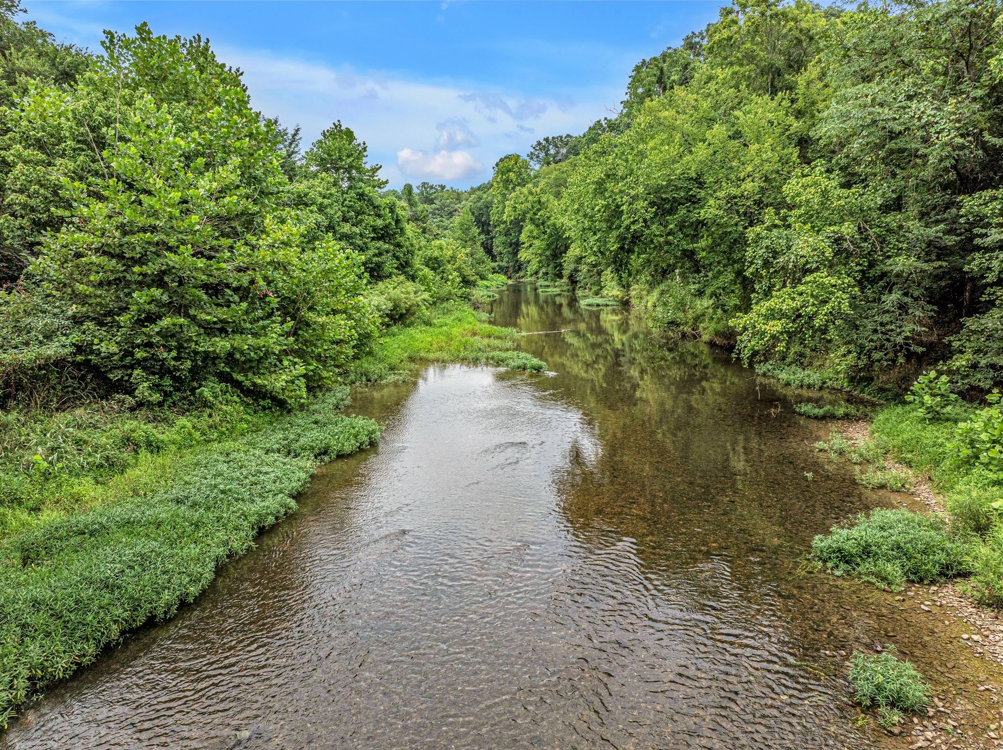 1259 Petty Road White Bluff, TN 37187 - Photo 1 of 60 a view of a lake with beach and outdoor space