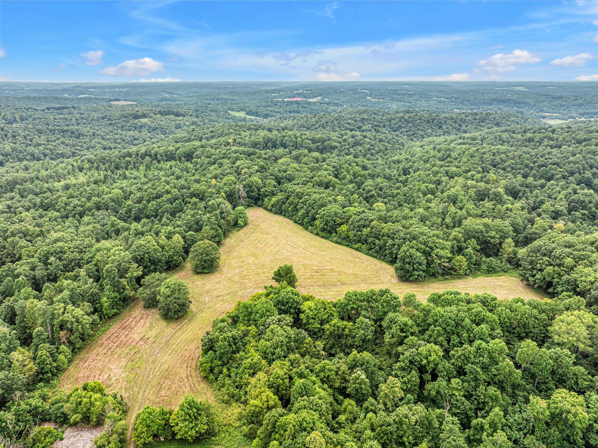 1259 Petty Road White Bluff, TN 37187 - Photo 17 of 60