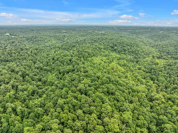 a view of a city with lush green forest