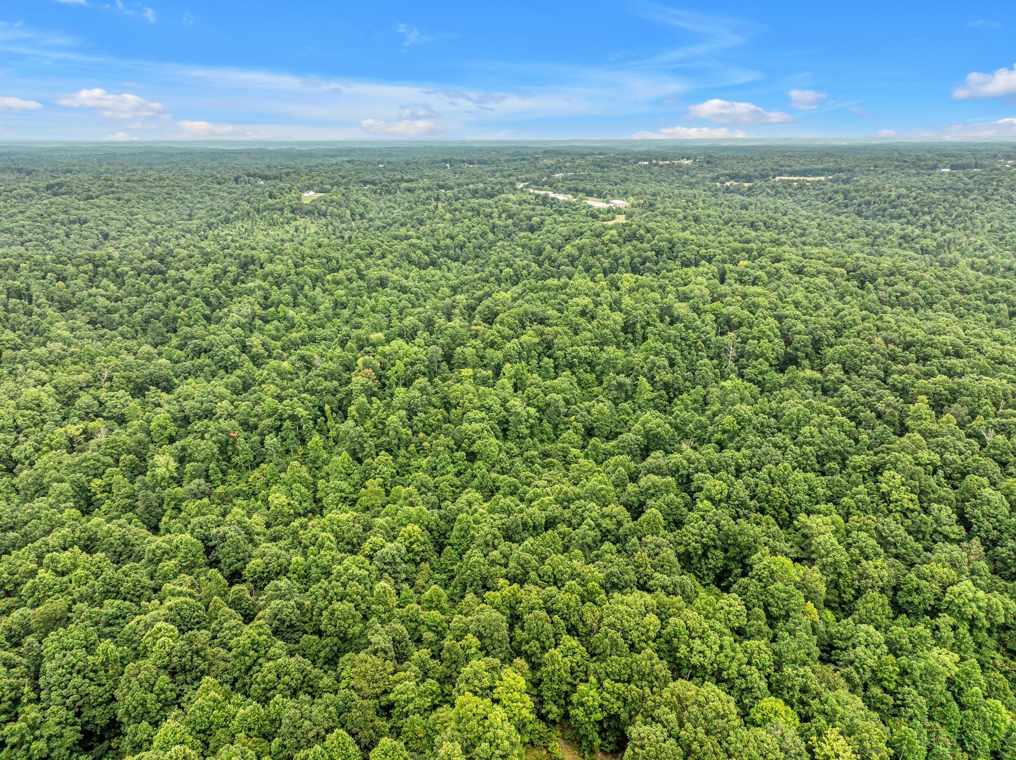 1259 Petty Road White Bluff, TN 37187 - Photo 22 of 60 a view of a field with an outdoor space