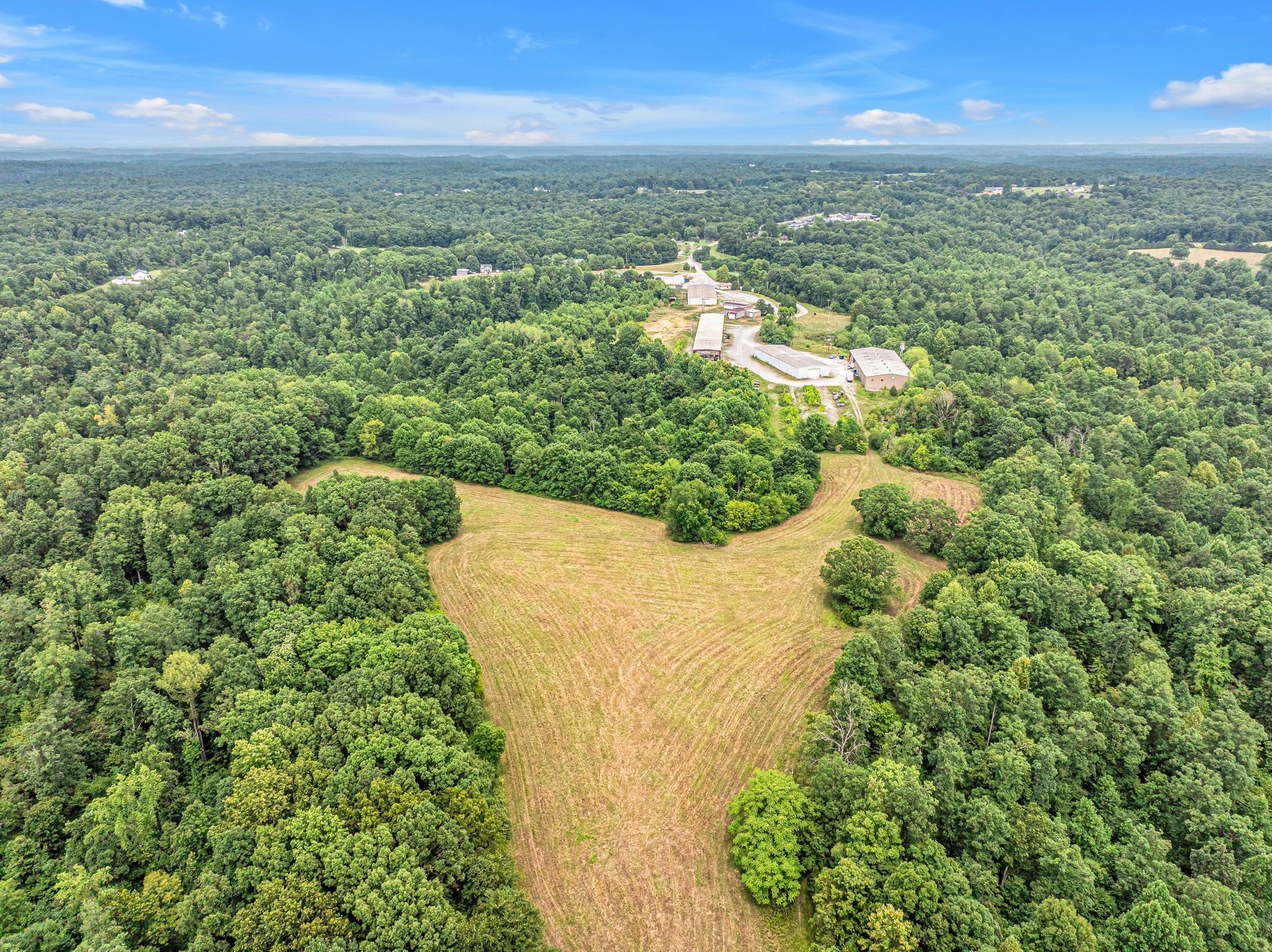 1259 Petty Road White Bluff, TN 37187 - Photo 23 of 60 a view of a lake in middle of forest
