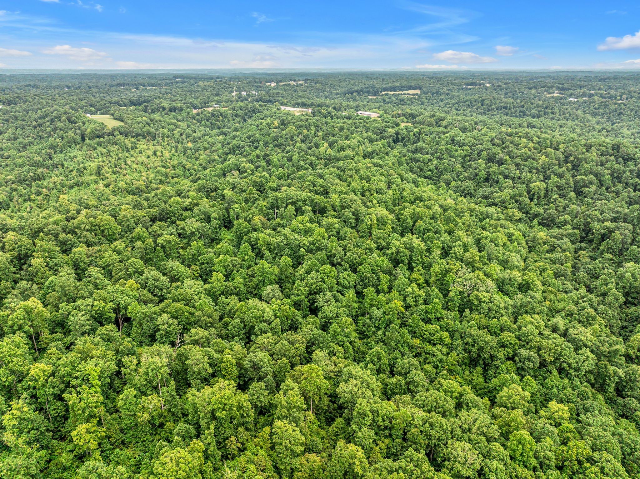 1259 Petty Road White Bluff, TN 37187 - Photo 24 of 60 a view of a city with lush green forest