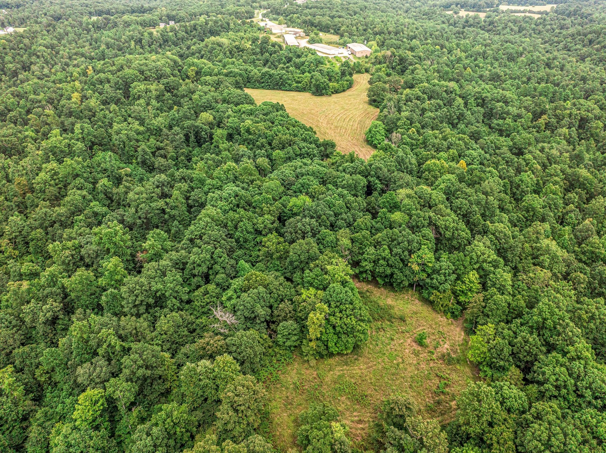1259 Petty Road White Bluff, TN 37187 - Photo 25 of 60 a view of a lush green forest with a lake