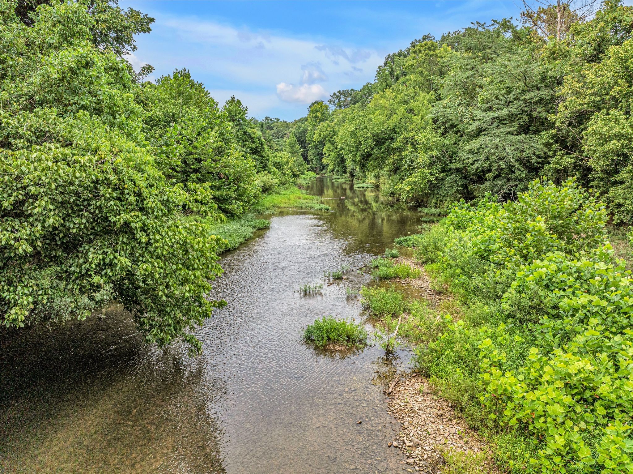 1259 Petty Road White Bluff, TN 37187 - Photo 27 of 60