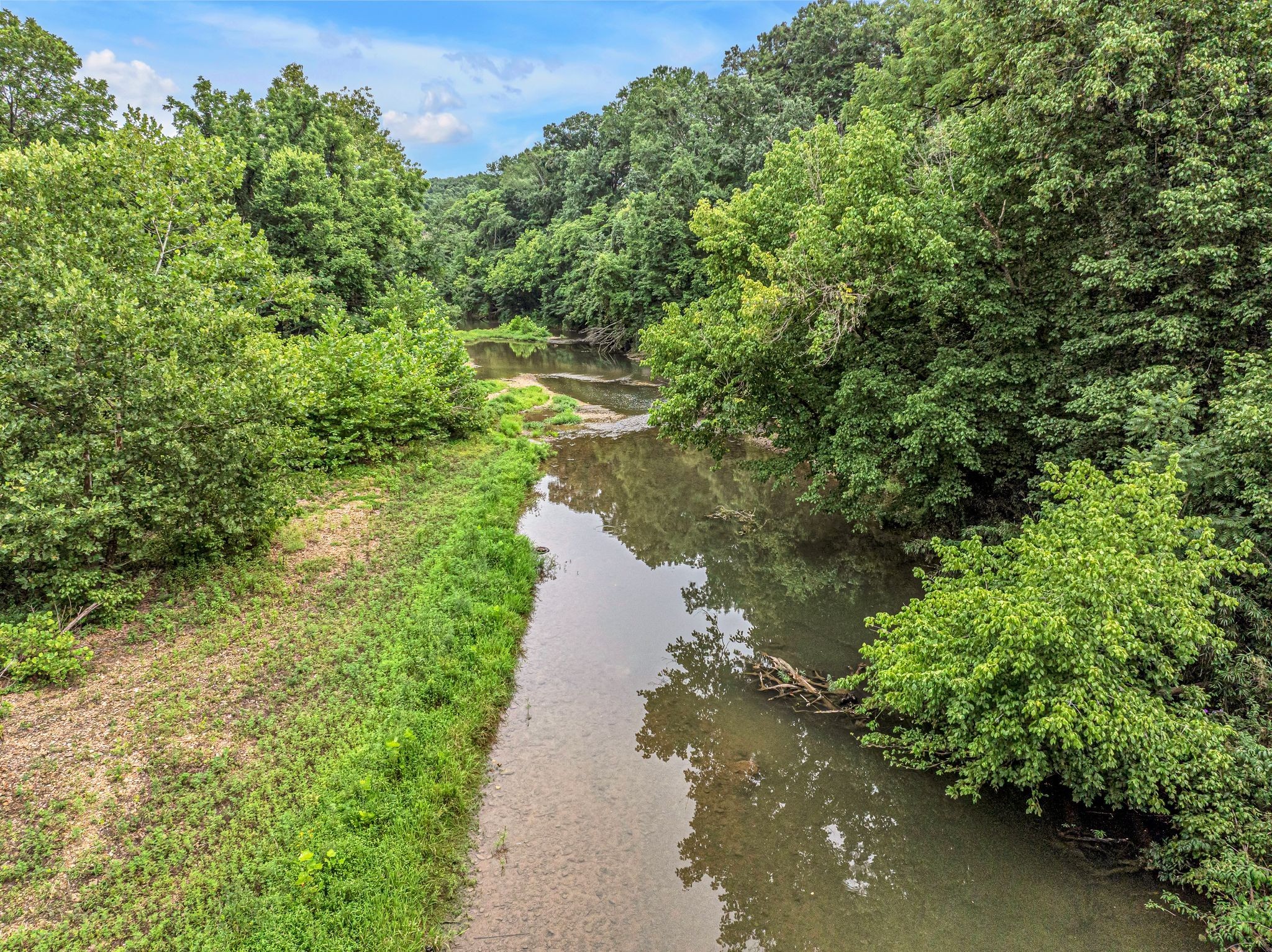 1259 Petty Road White Bluff, TN 37187 - Photo 28 of 60 a view of a yard with a tree