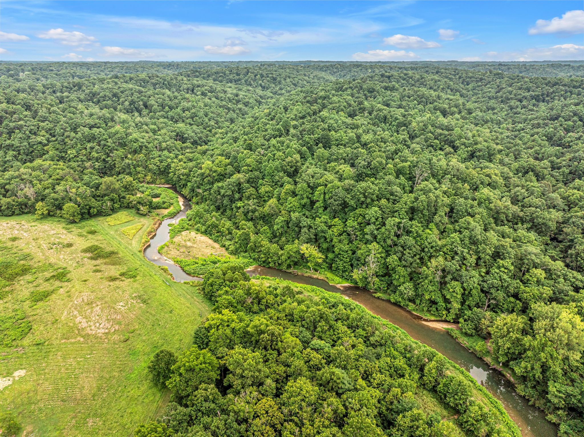 1259 Petty Road White Bluff, TN 37187 - Photo 30 of 60 a view of a green field with lots of bushes