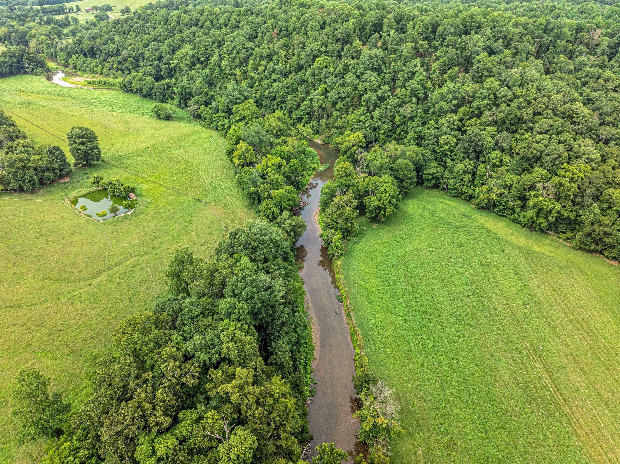 1259 Petty Road White Bluff, TN 37187 - Photo 31 of 60 a view of a garden with an outdoor space