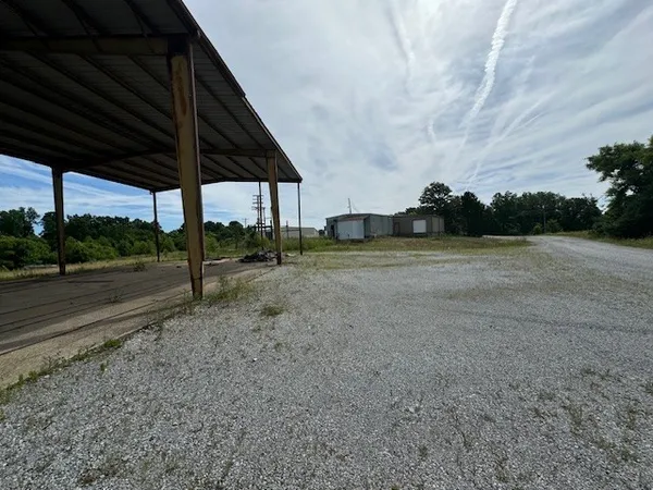 a view of a dry yard