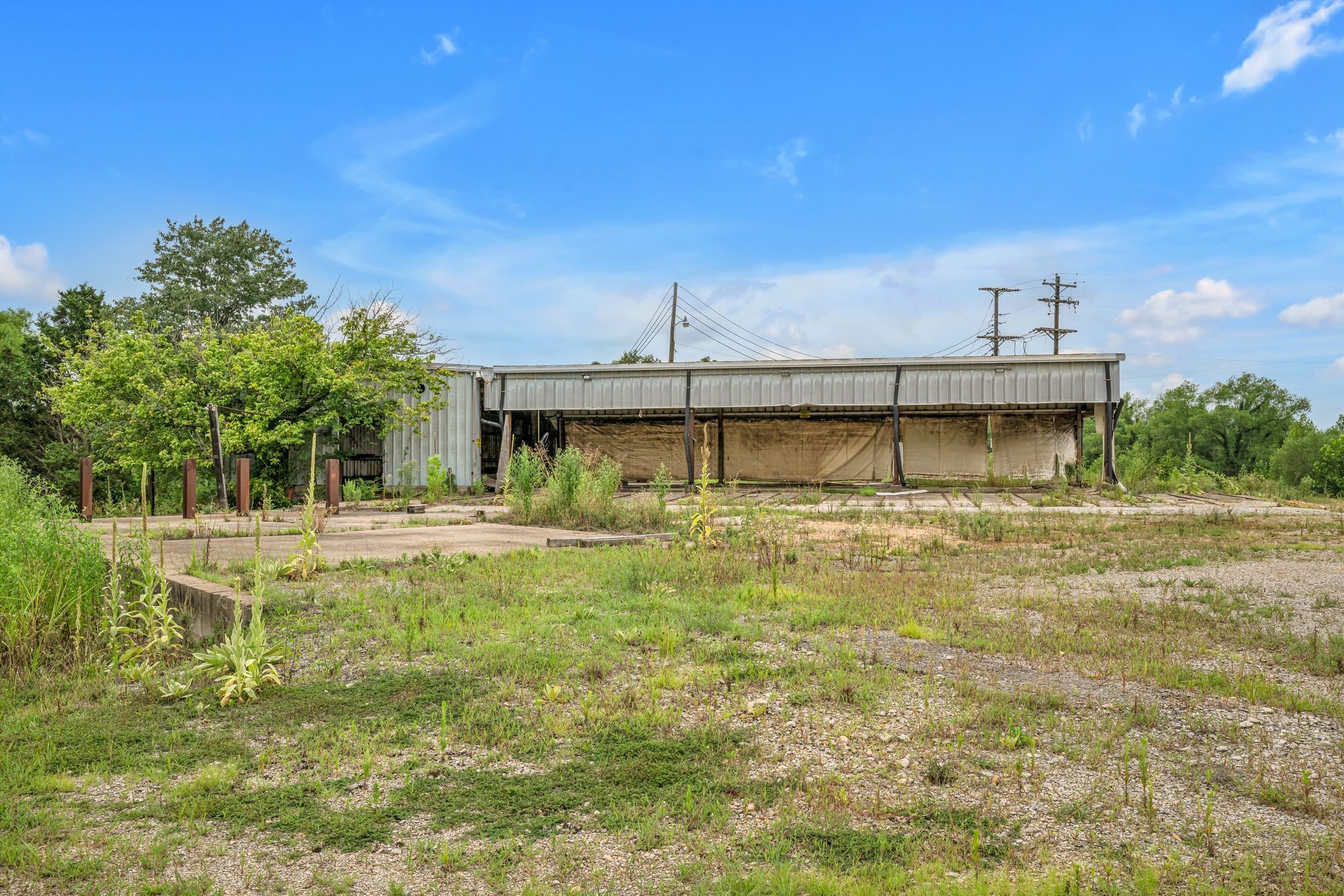 1259 Petty Road White Bluff, TN 37187 - Photo 8 of 60 a swimming pool with outdoor seating and yard