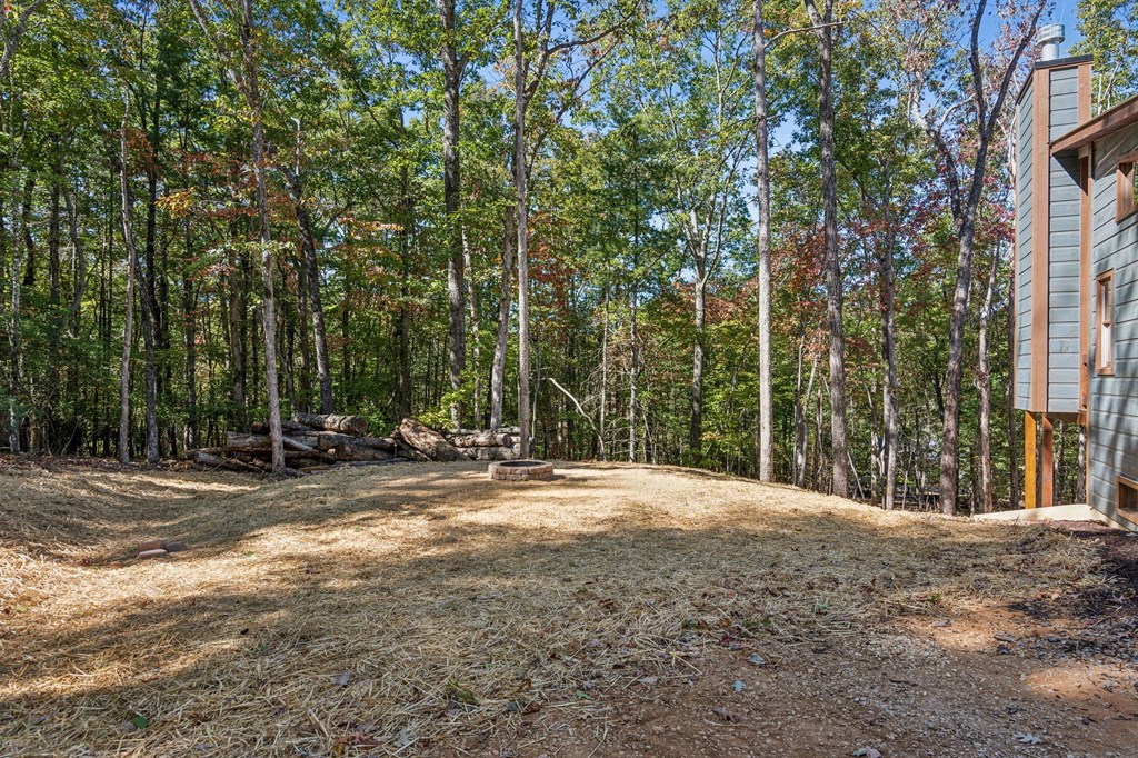 291 Long's Road Blue Ridge, GA 30513 - Photo 49 of 84