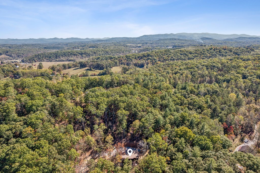 291 Long's Road Blue Ridge, GA 30513 - Photo 5 of 84