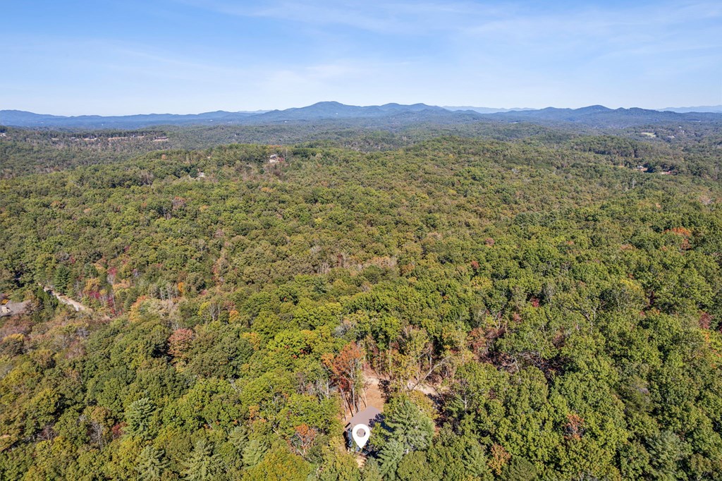 291 Long's Road Blue Ridge, GA 30513 - Photo 6 of 84