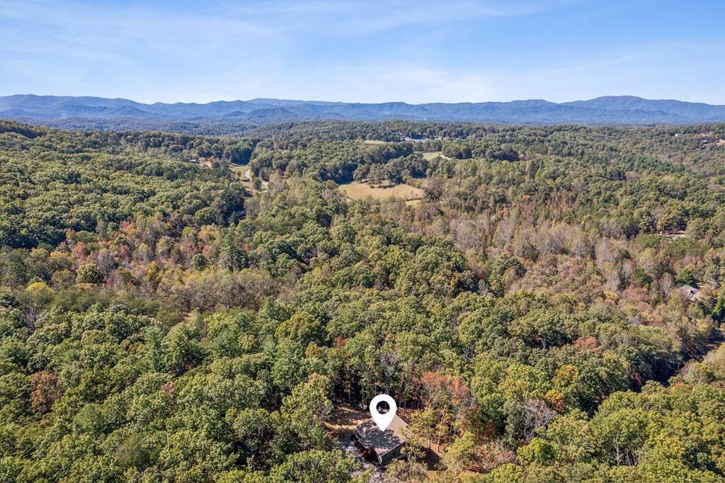 291 Long's Road Blue Ridge, GA 30513 - Photo 7 of 84