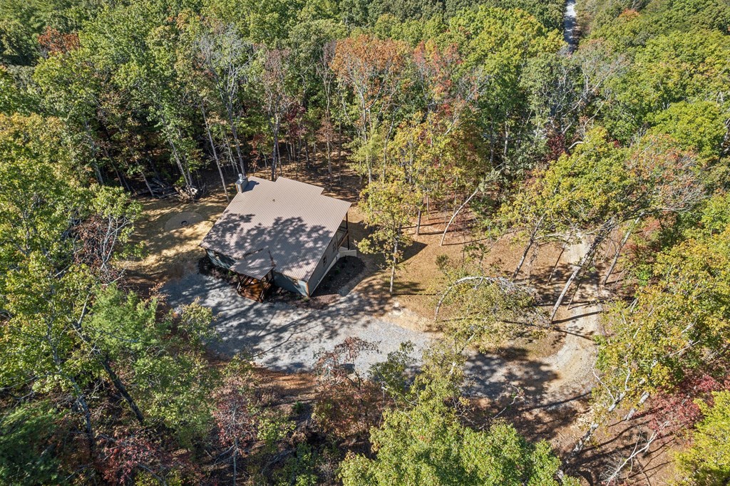 291 Long's Road Blue Ridge, GA 30513 - Photo 8 of 84