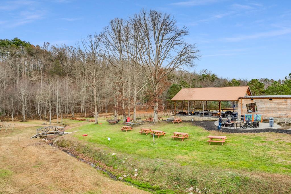 291 Long's Road Blue Ridge, GA 30513 - Photo 82 of 84