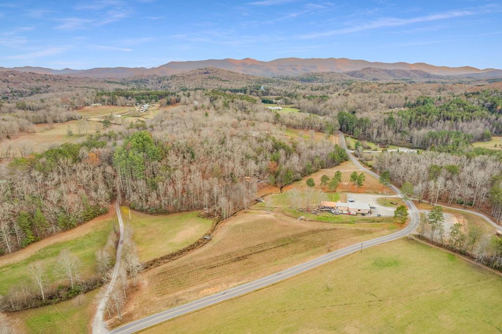 291 Long's Road Blue Ridge, GA 30513 - Photo 83 of 84