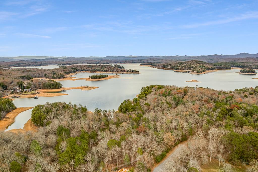 291 Long's Road Blue Ridge, GA 30513 - Photo 84 of 84