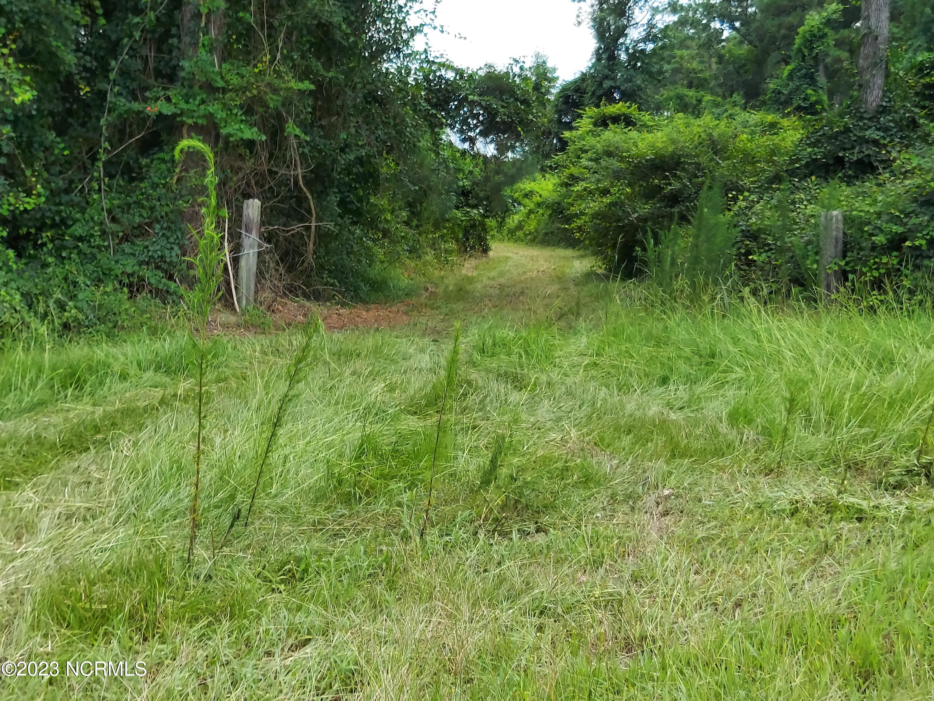 0 River Road Willard, NC 28478 - Photo 11 of 18 000RiverRd view toward entry gate