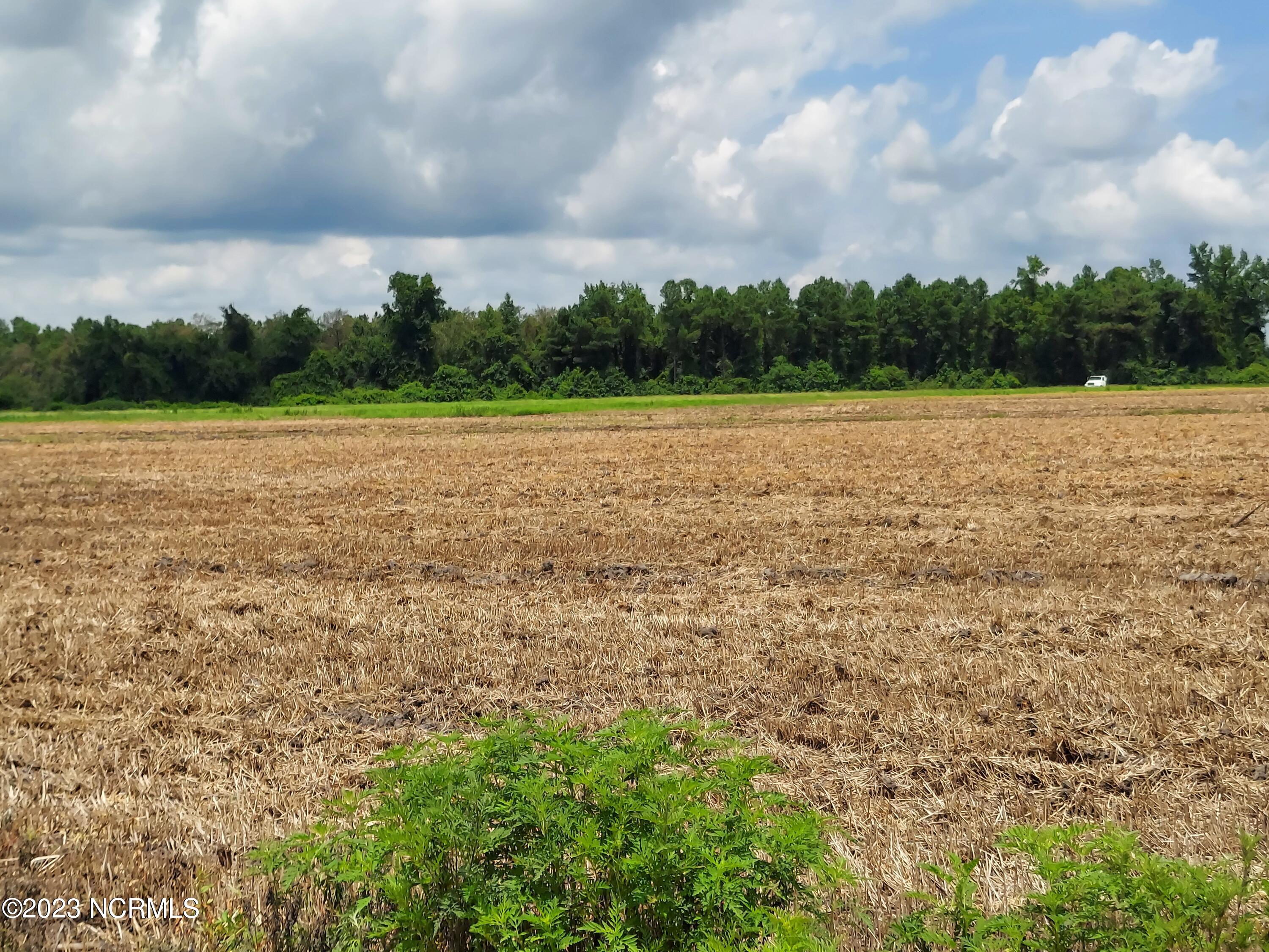 0 River Road Willard, NC 28478 - Photo 12 of 18 000RiverRd view across field to gate