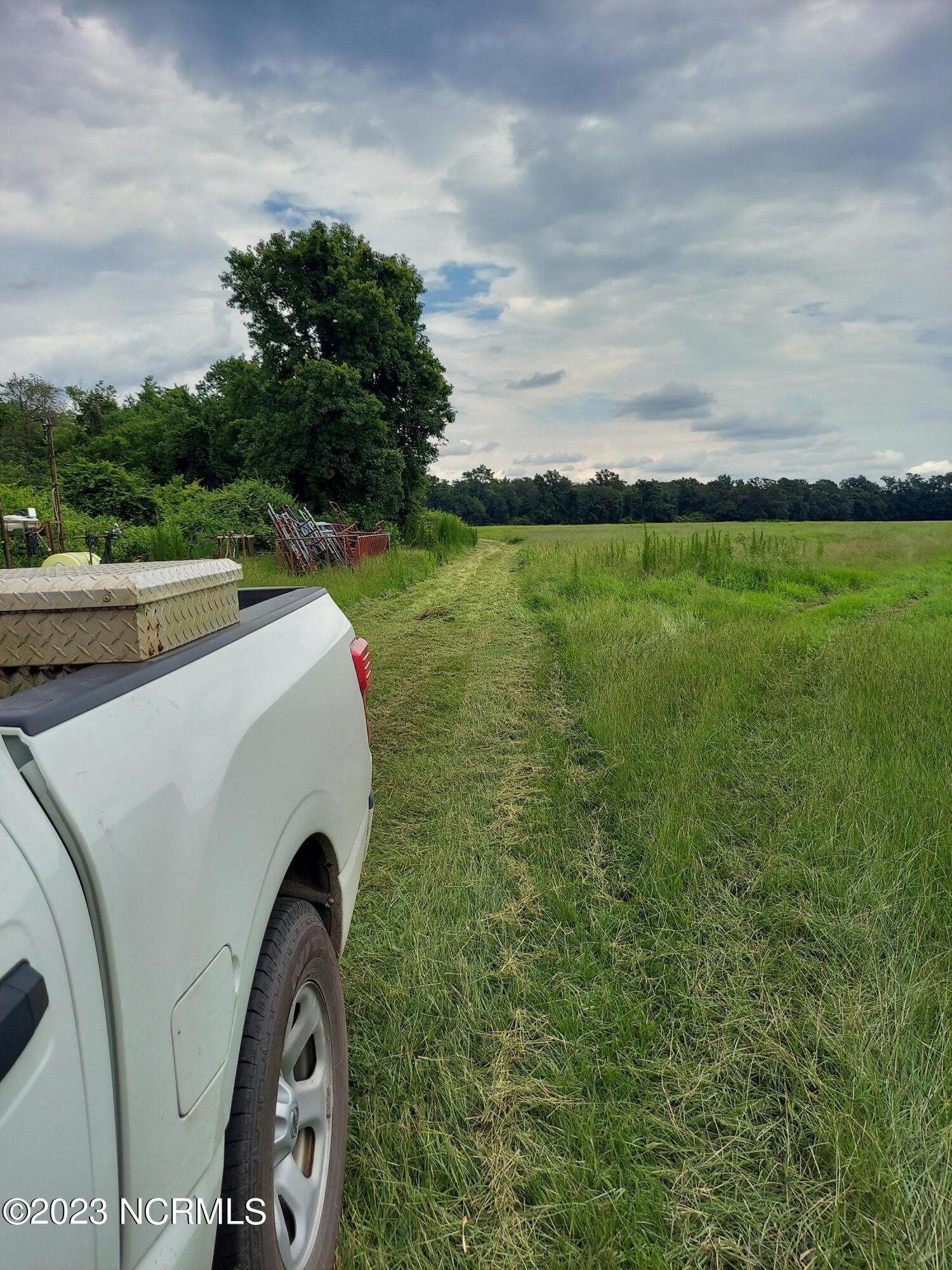 0 River Road Willard, NC 28478 - Photo 14 of 18 000RiverRd view of cut access rd